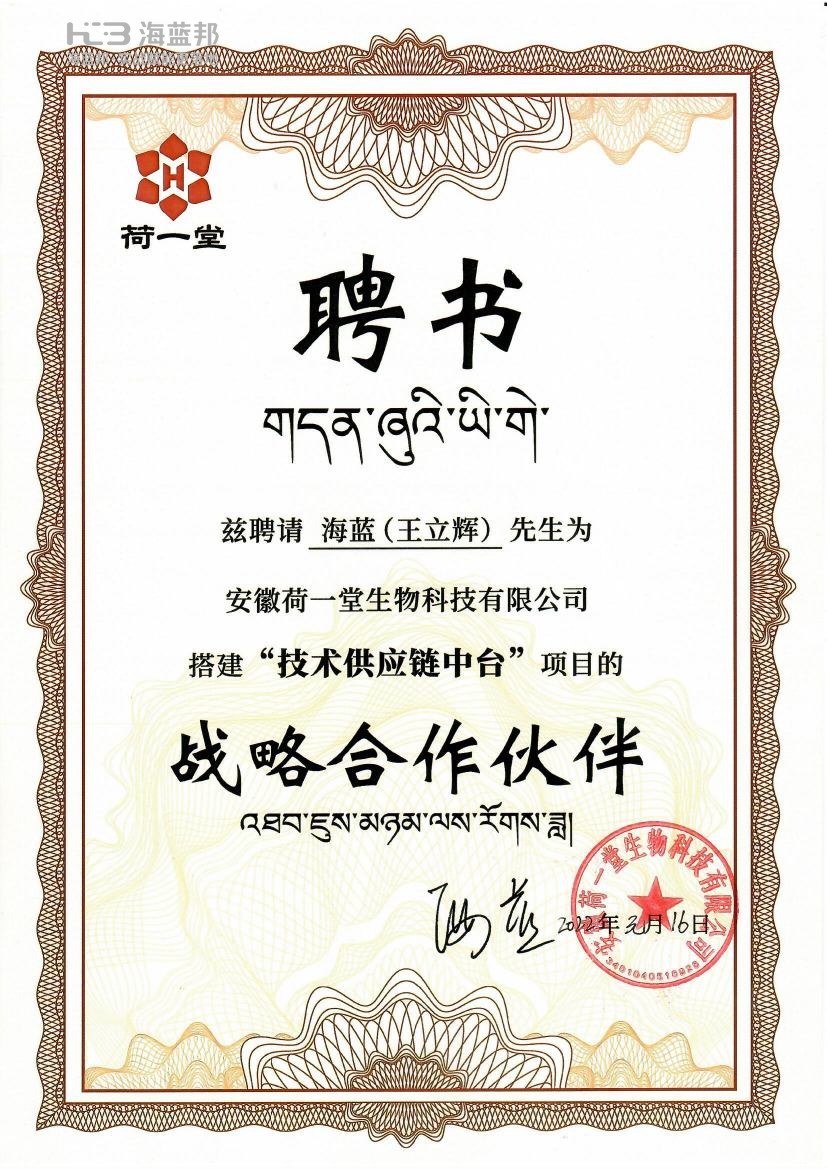 企业聘书